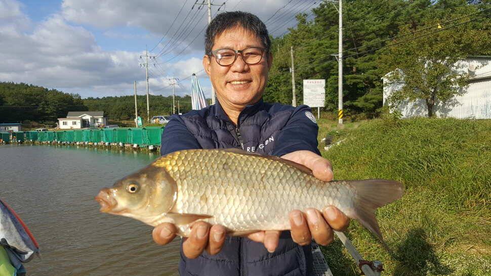 경주 동산낚시터붕어 전용 잡이터 4짜붕어들이 꾸준히 나오네요 (유료터정보 - 유료터점주조황)