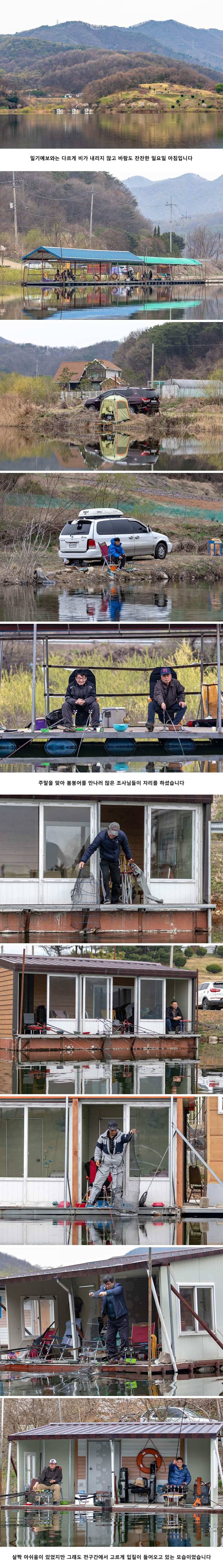 안성 두메낚시터 4월 14일 조황정보 (유료터정보 - 유료터점주조황)