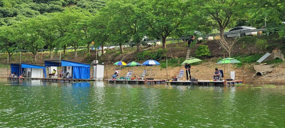 공주 고성낚시터 입니다 (유료터정보 - 유료터점주조황)