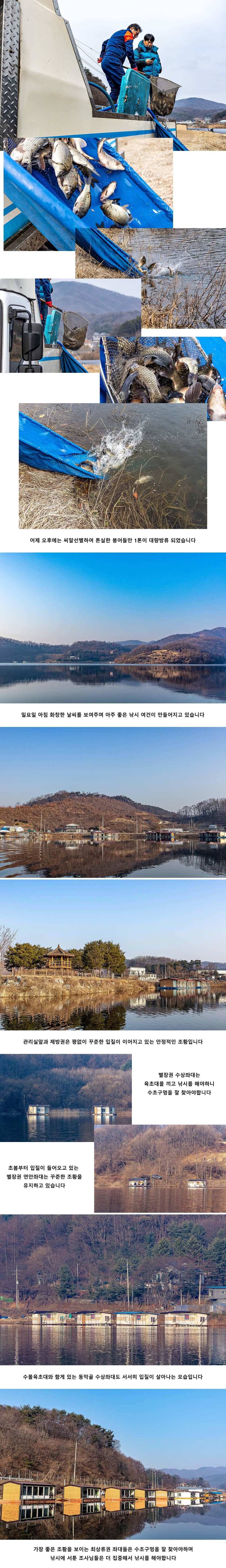 안성 두메낚시터 3월 8일 조황정보 (유료터정보 - 유료터점주조황)