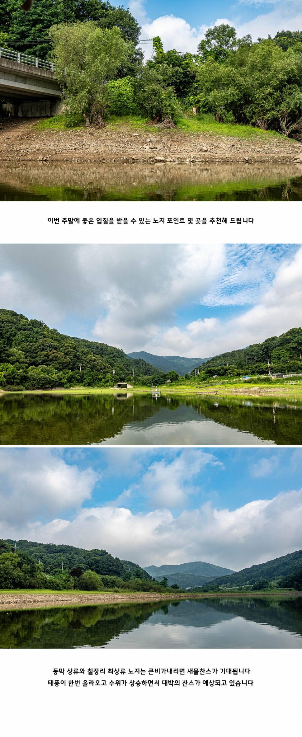 어ㅏㄴ성 두메낚시터 7월 5일 조황정보 (유료터정보 - 유료터점주조황)