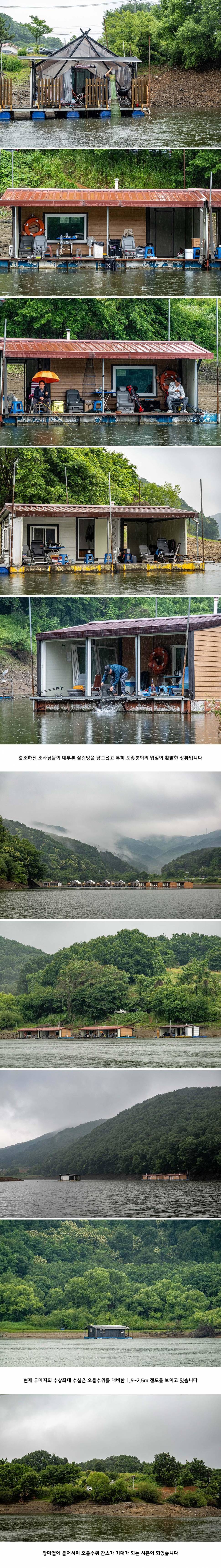 안성 두메낚시터 6월 14일 조황정보 (유료터정보 - 유료터점주조황)