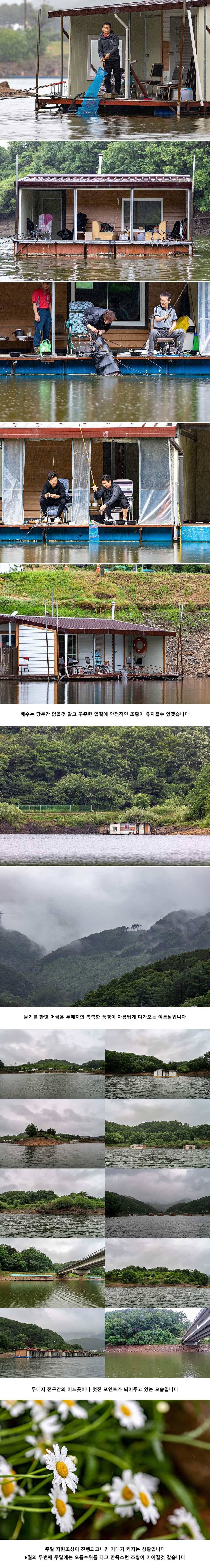 안성 두메낚시터 6월 7일 조황정보 (유료터정보 - 유료터점주조황)