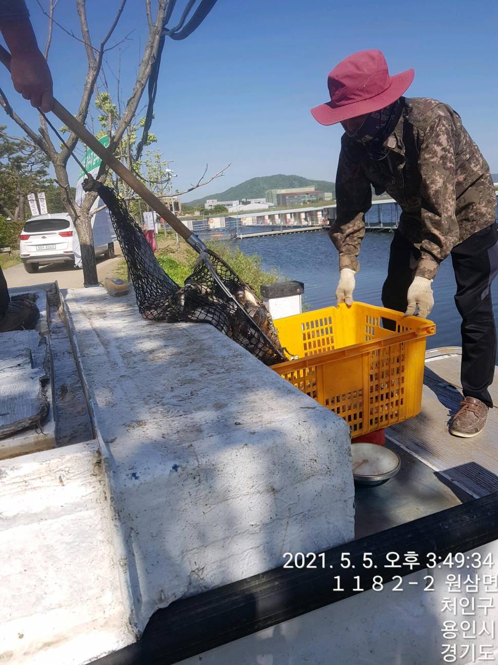 2021년 5월 둘째주 조황정보 용인 용담낚시터사암지 (유료터정보 - 유료터점주조황)