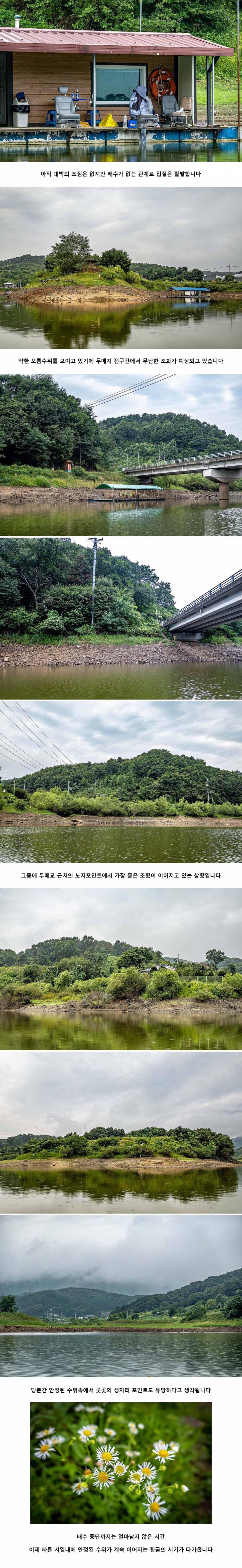 안성 두메낚시터 8월 25일 조황정보 (유료터정보 - 유료터점주조황)
