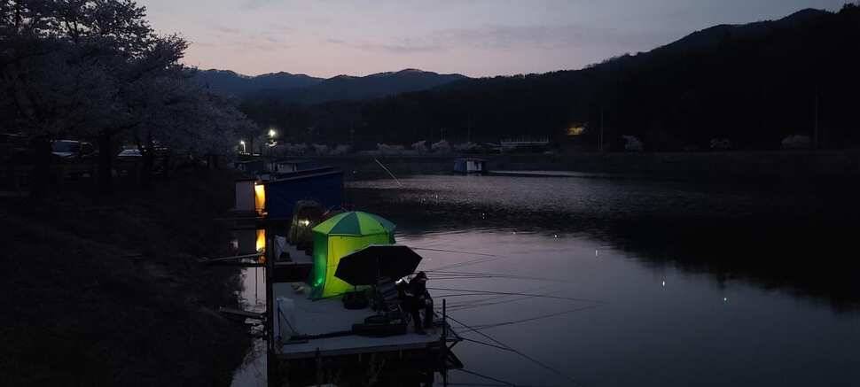 공주 고성낚시터 입니다 (유료터정보 - 유료터점주조황)