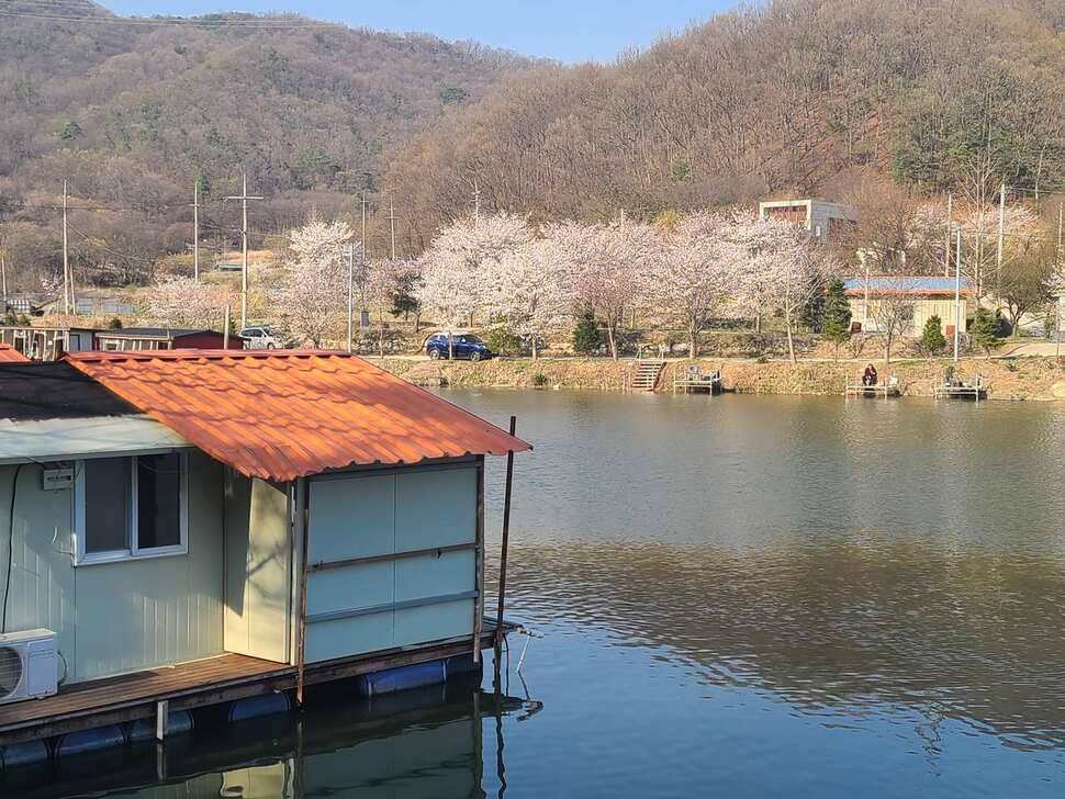힐링 양평 수곡낚시터 월요일 조황 및 수상좌대 할인요금 안내 (유료터정보 - 유료터점주조황)