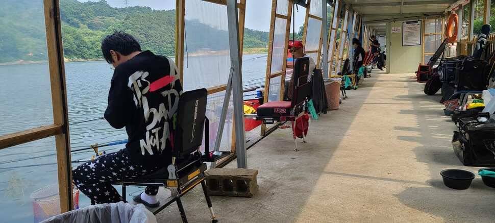 피서 여름낚시 힐링 수곡낚시터 금요일토요일 조황소식 입니다 (유료터정보 - 유료터점주조황)