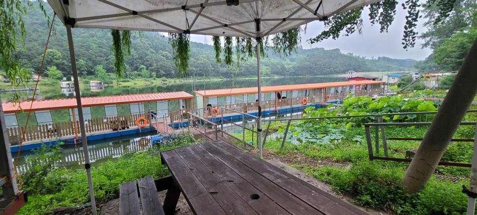 힐링 붕어 양평낚시터 수곡낚시터 월요일 조황 금일 방류 완료 (유료터정보 - 유료터점주조황)