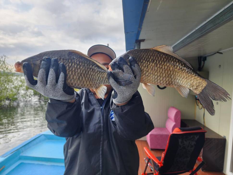 송전지 창신집 45cm 대박 조황 (유료터정보 - 유료터점주조황)