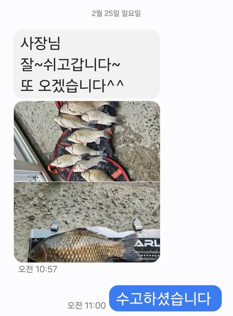 2024년 02월 마지막주 조황정보 4짜 연속 대행진중 (유료터정보 - 유료터점주조황)