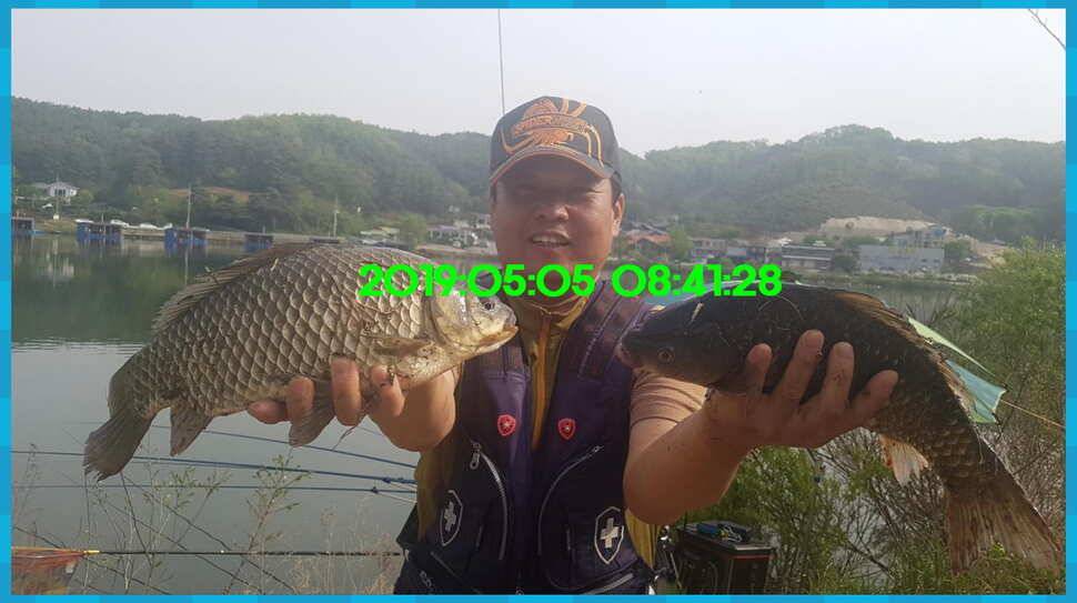 신원낚시터 토종대물 4짜가 풍년입니다풍년 (유료터정보 - 유료터점주조황)