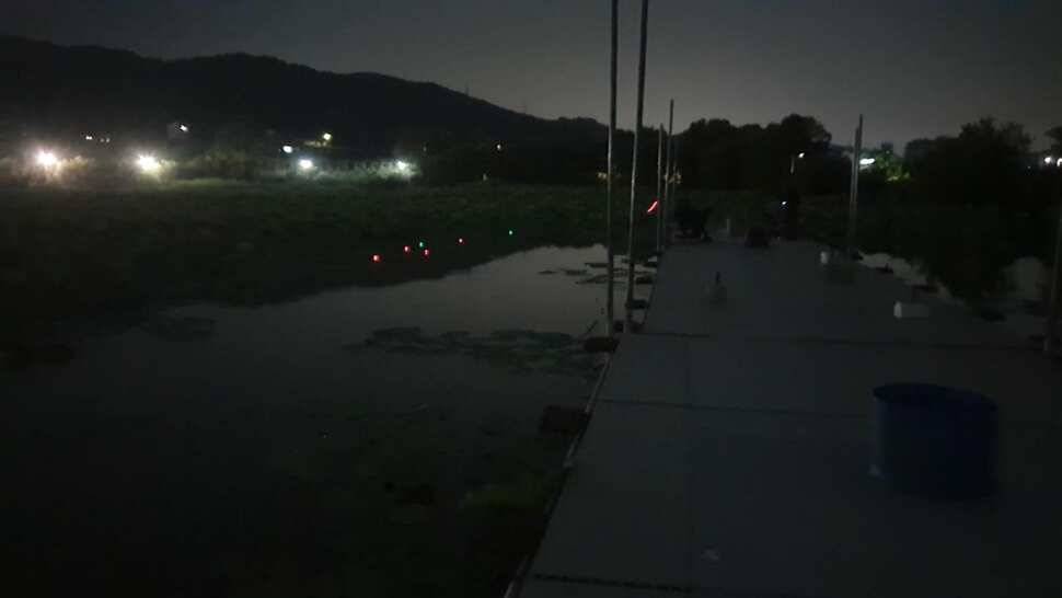 아산 명품 월랑낚시터 6월 세번째 조황이야기입니다 (유료터정보 - 유료터점주조황)