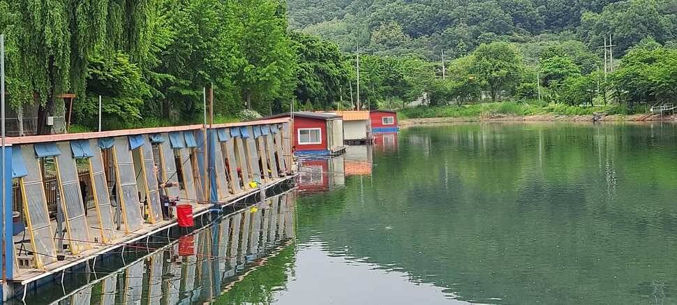 붕어낚시 양평 수곡낚시터 5월마지막주 주초 조황 안내드립니다 (유료터정보 - 유료터점주조황)