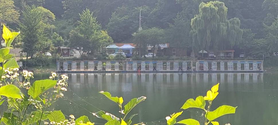 양평 수곡낚시터 75 일요일 5짜 대물붕어 포함 조황 소식 입니다 (유료터정보 - 유료터점주조황)