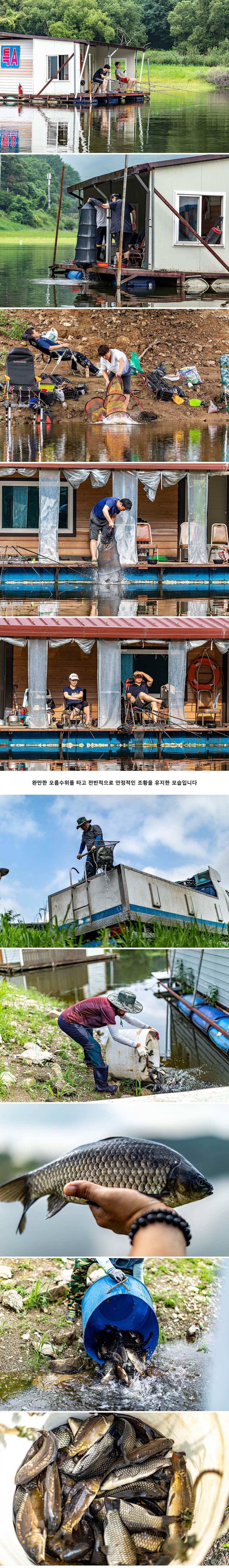 안성 두메낚시터 7월 27일 조황정보 (유료터정보 - 유료터점주조황)