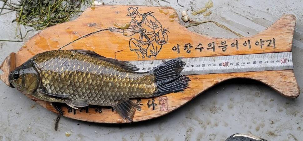 아산 안골지 4짜 소식입니다 (유료터정보 - 유료터점주조황)