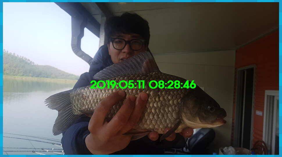 신원낚시터 토종대물 4짜 소식 식상허쥬 사진만 올립니다 (유료터정보 - 유료터점주조황)