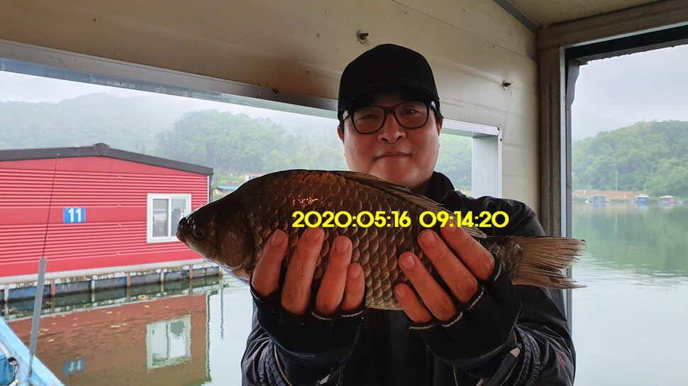 신원낚시터 6월2일토종대물 445짜리와 덩어리들 사진입니다 (유료터정보 - 유료터점주조황)