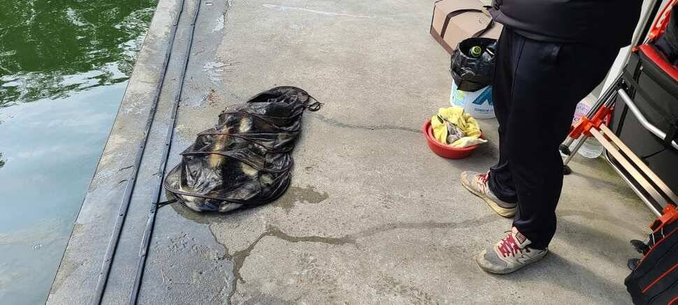 공주 고성낚시터 입니다 (유료터정보 - 유료터점주조황)