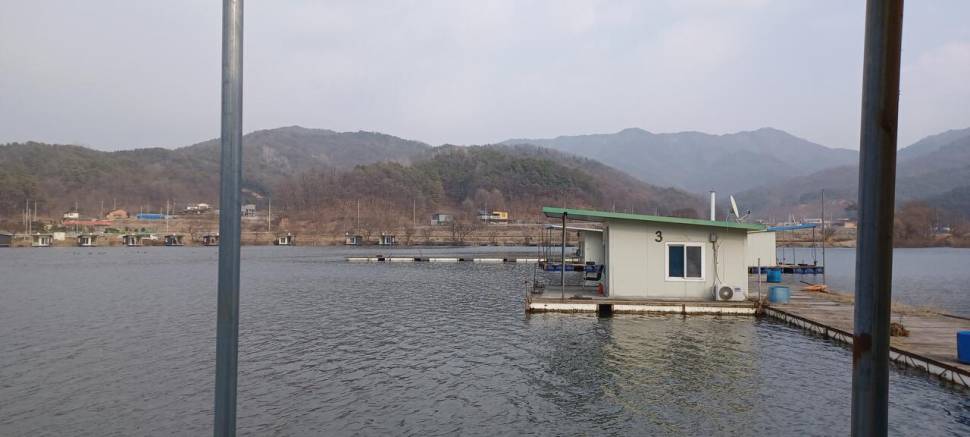 어우실지 아직은 마릿수 입니다 (유료터정보 - 유료터점주조황)