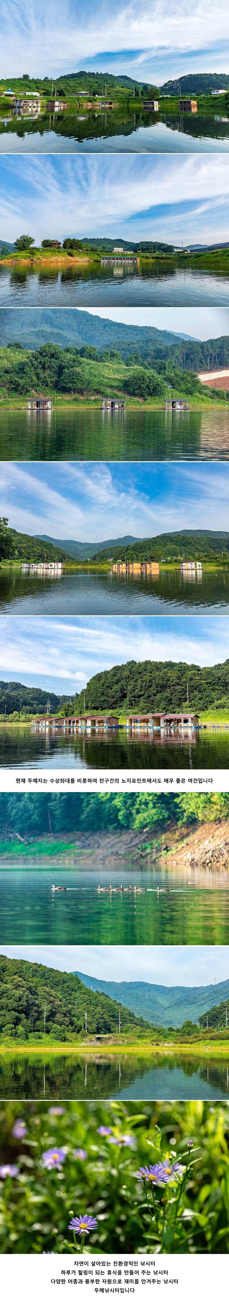 안성 두메낚시터 8월 10일 조황정보 (유료터정보 - 유료터점주조황)