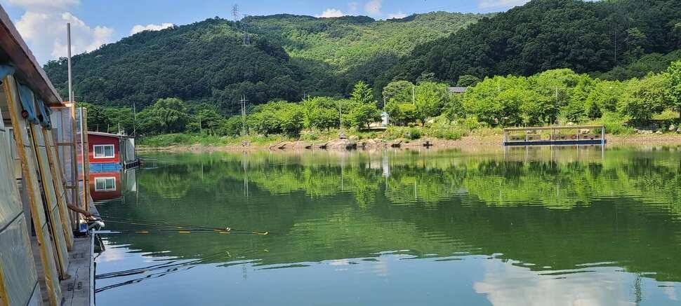 수곡낚시터 상중하류권 모두 고른 조황이 이어집니다 (유료터정보 - 유료터점주조황)