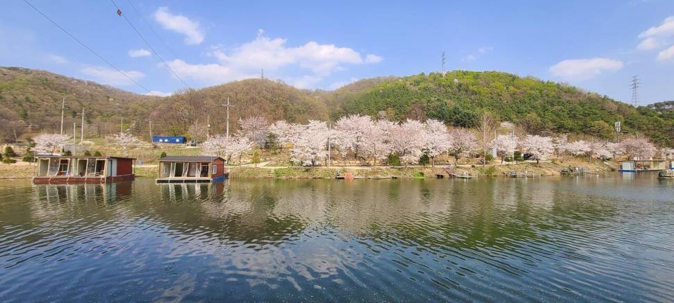 4월둘째주 양평 힐링 수곡낚시터 조황 붕어방류 (유료터정보 - 유료터점주조황)