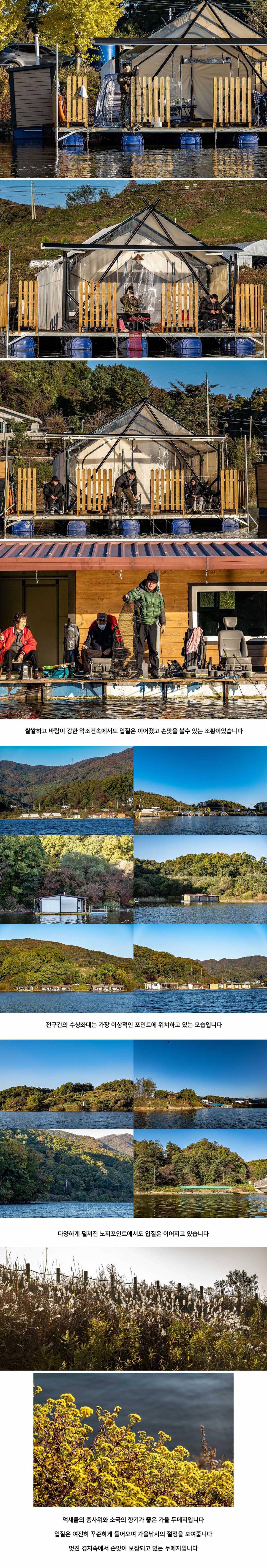 안성 두메낚시터 10월 24일 조황정보 (유료터정보 - 유료터점주조황)
