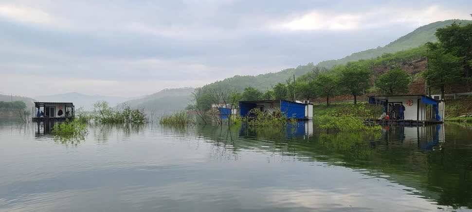 공주 고성낚시터 입니다 (유료터정보 - 유료터점주조황)