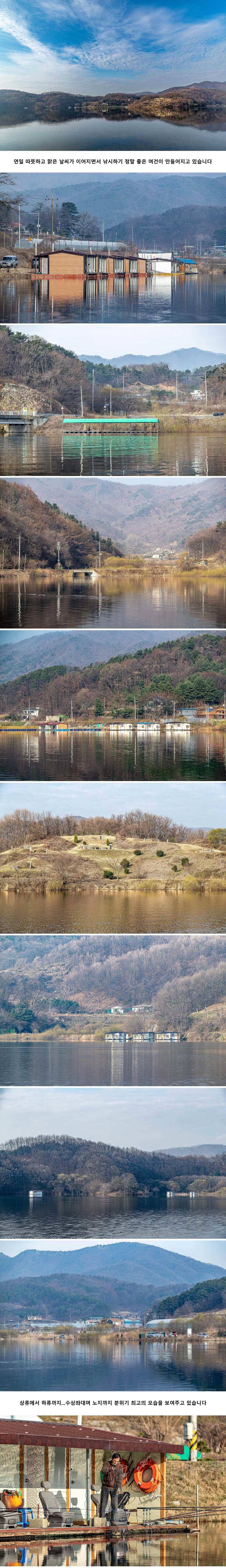 안성 두메낚시터 3월 26일 조황정보 (유료터정보 - 유료터점주조황)