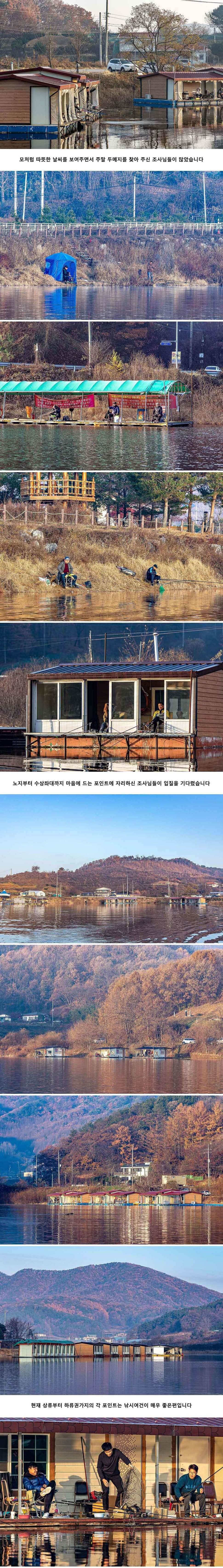 안성 두메낚시터 11월 24일 조황정보 (유료터정보 - 유료터점주조황)