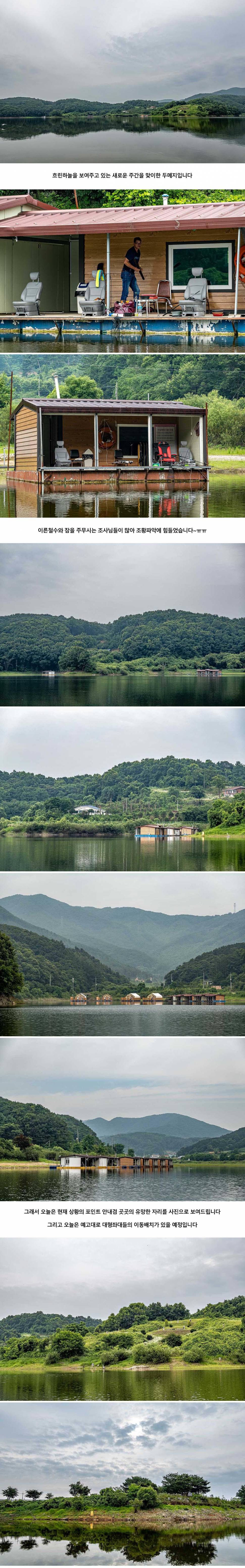 안성 두메낚시터 7월 6일 조황정보 (유료터정보 - 유료터점주조황)