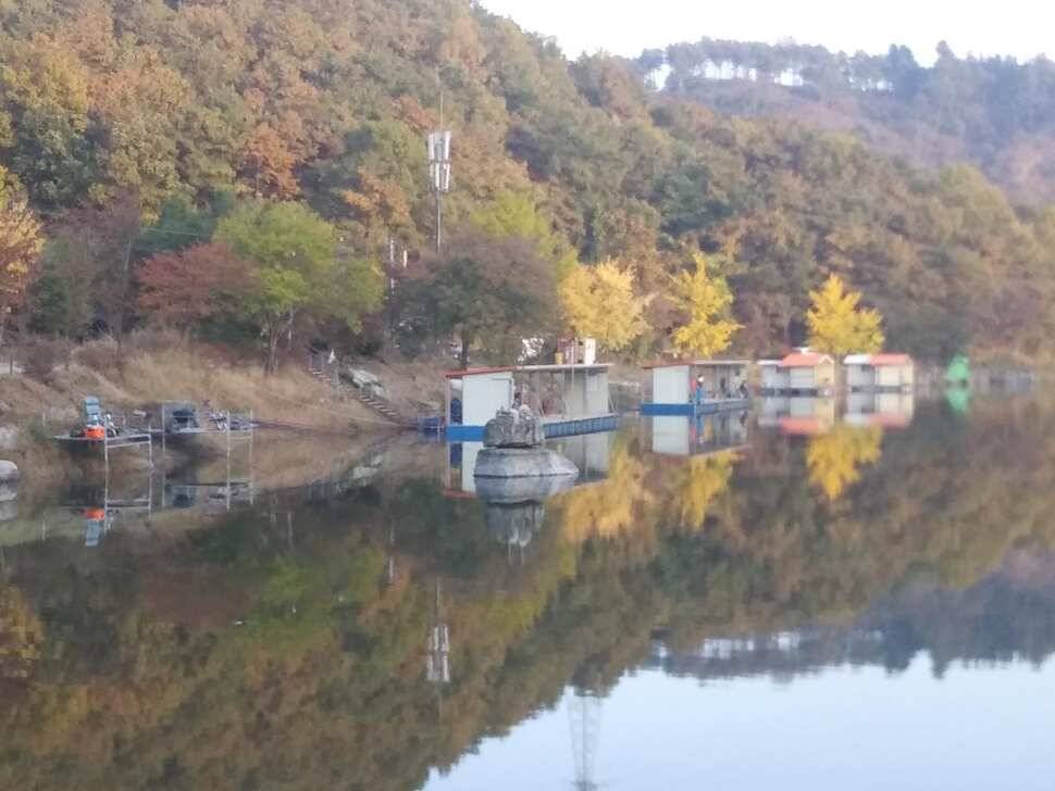 수곡낚시터 어제 대박조황과 함께 고른 조황이 이어졌고 오늘 토종붕어 포함 방류합니다 (유료터정보 - 유료터점주조황)