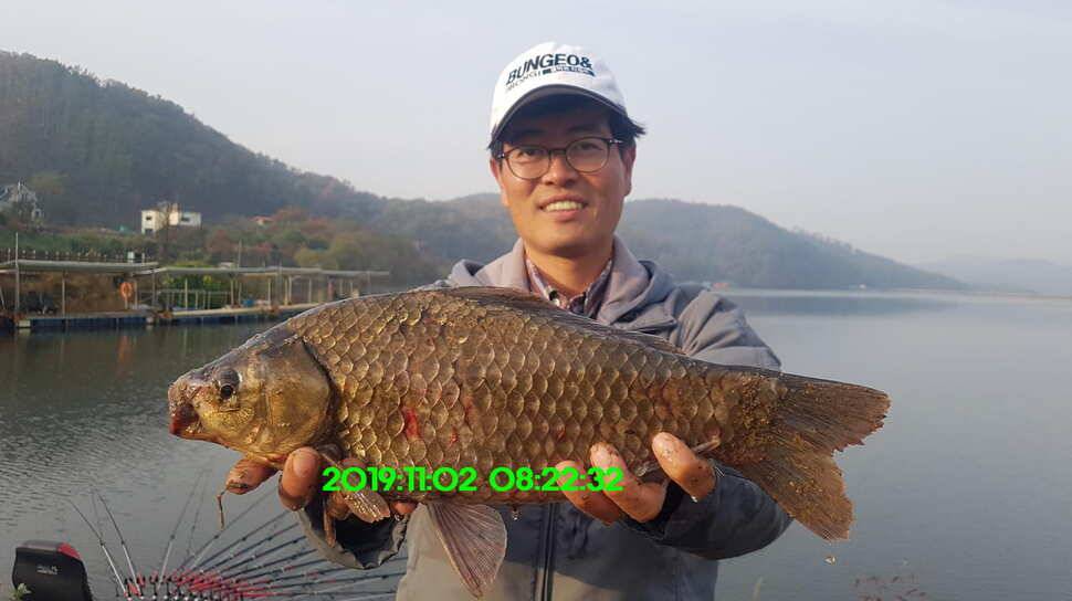 신원낚시터11월4일 토종붕어 방류와 조황 소식입니다 (유료터정보 - 유료터점주조황)