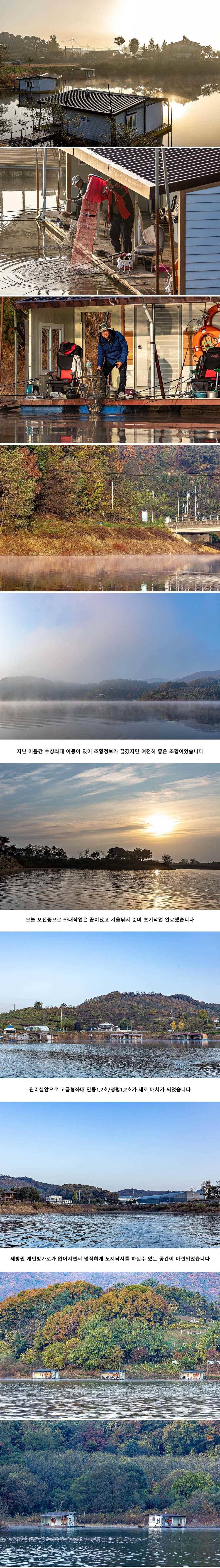 안성 두메낚시터 11월 7일 조황정보 (유료터정보 - 유료터점주조황)