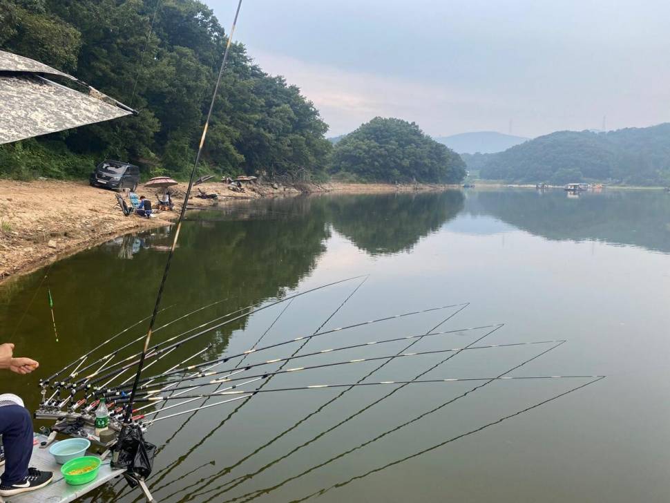 고삼저수지의 최고의 포인트 조황입니다 (유료터정보 - 유료터점주조황)