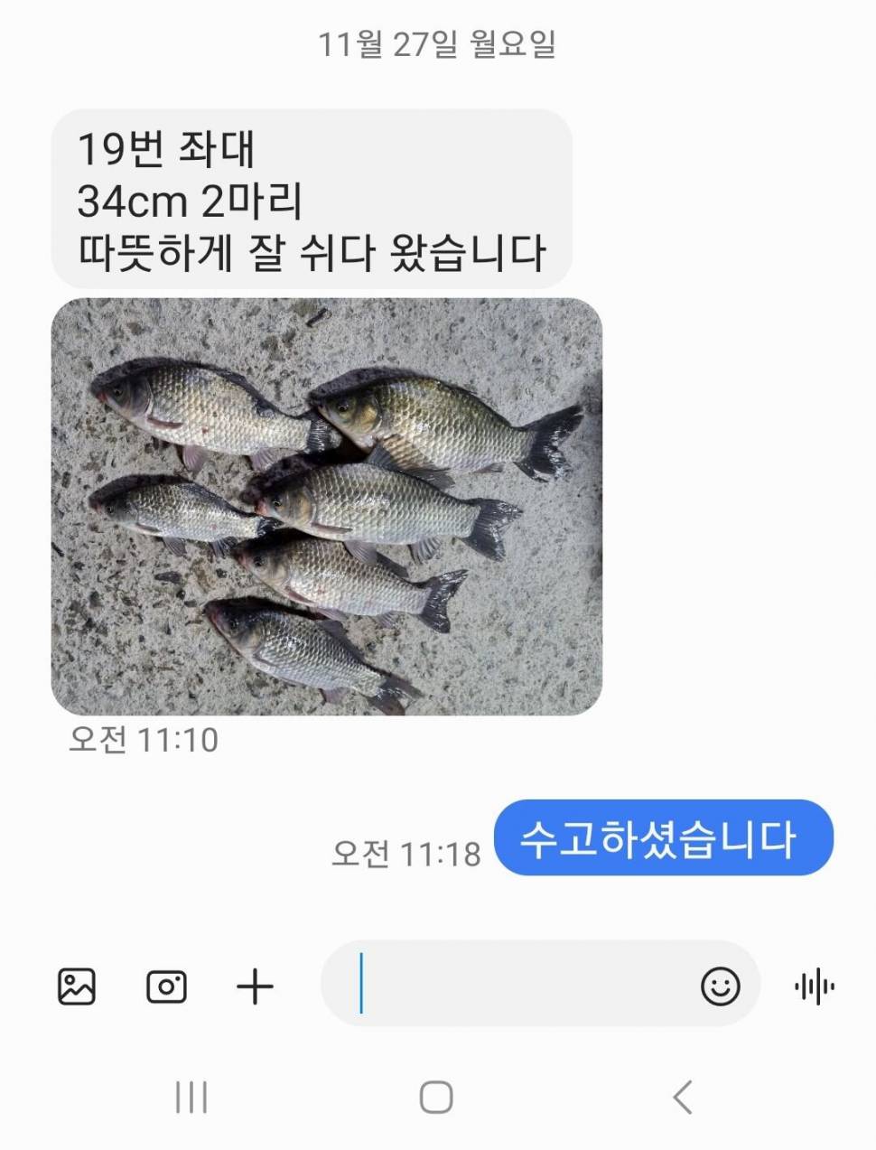 2023년 11월 마지막주 조황정보 용담낚시터사암지 (유료터정보 - 유료터점주조황)