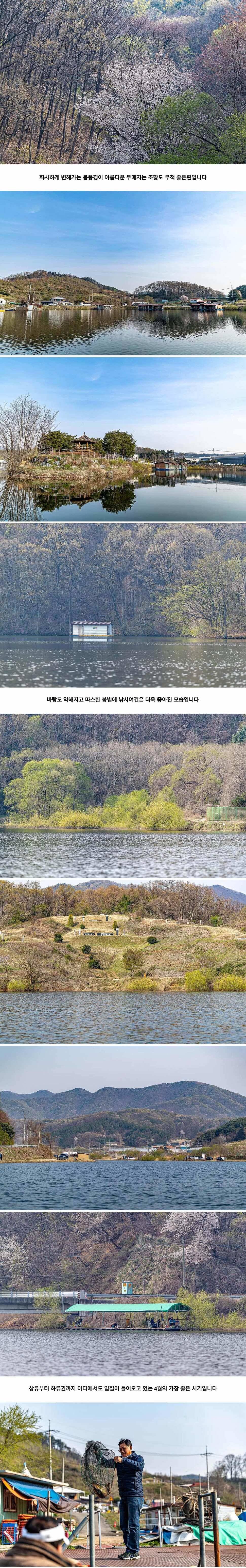 안성 두메낚시터 4월 15일 조황정보 (유료터정보 - 유료터점주조황)