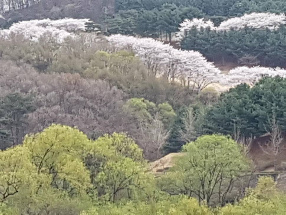 아름다운계곡속에자리잡은장계지에서 (유료터정보 - 유료터점주조황)