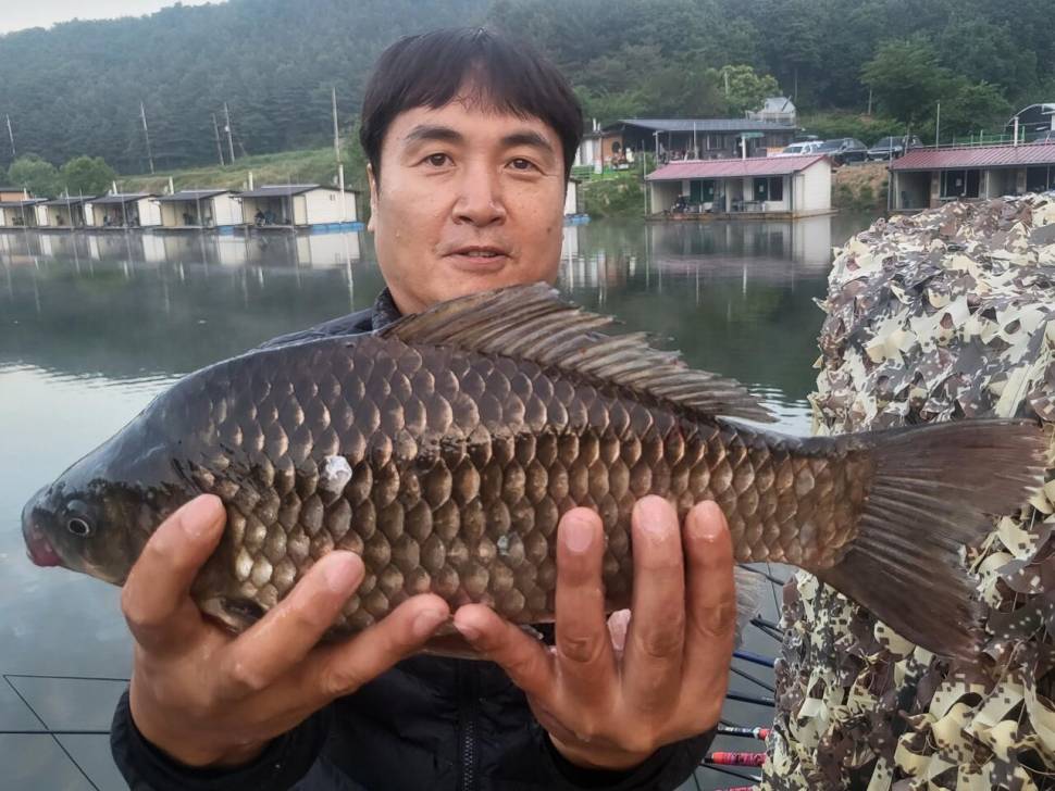 붕어 방류소식과 조황정보 전해드립니다 (유료터정보 - 유료터점주조황)