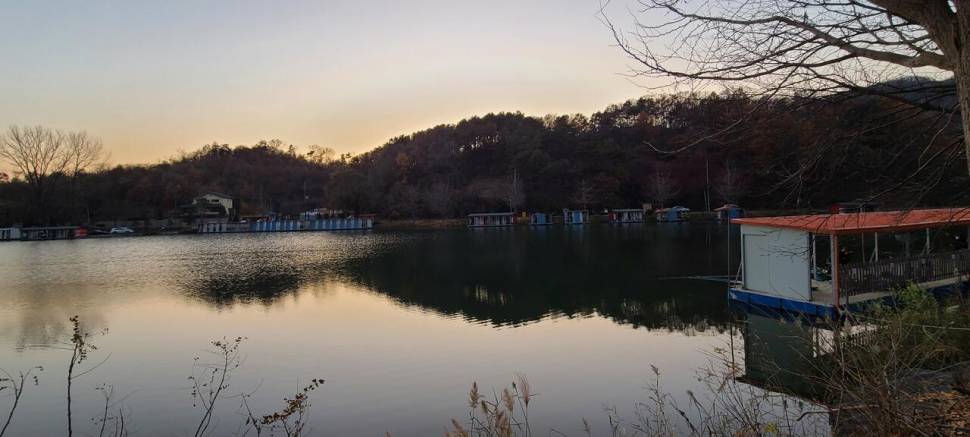 힐링양평 수곡낚시터 주중반 조황 및 오늘 붕어 방류 완료 (유료터정보 - 유료터점주조황)