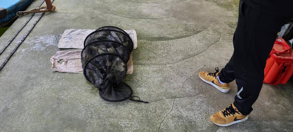 공주 고성낚시터 입니다 (유료터정보 - 유료터점주조황)