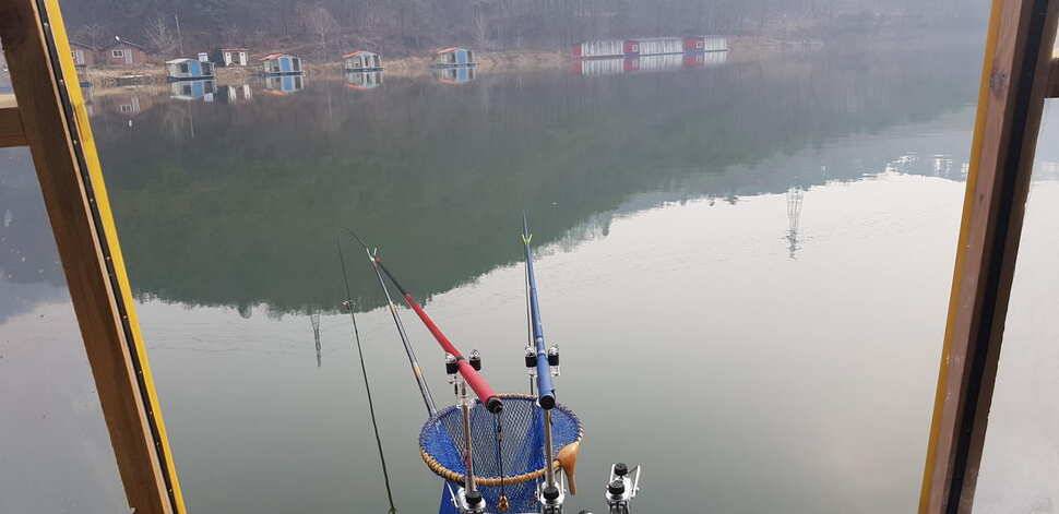 양평 수곡낚시터 노지잔교에서도 토종4짜포함 고른 조황이 나와주네요 주말인 내일도 붕어방류합니다 (유료터정보 - 유료터점주조황)