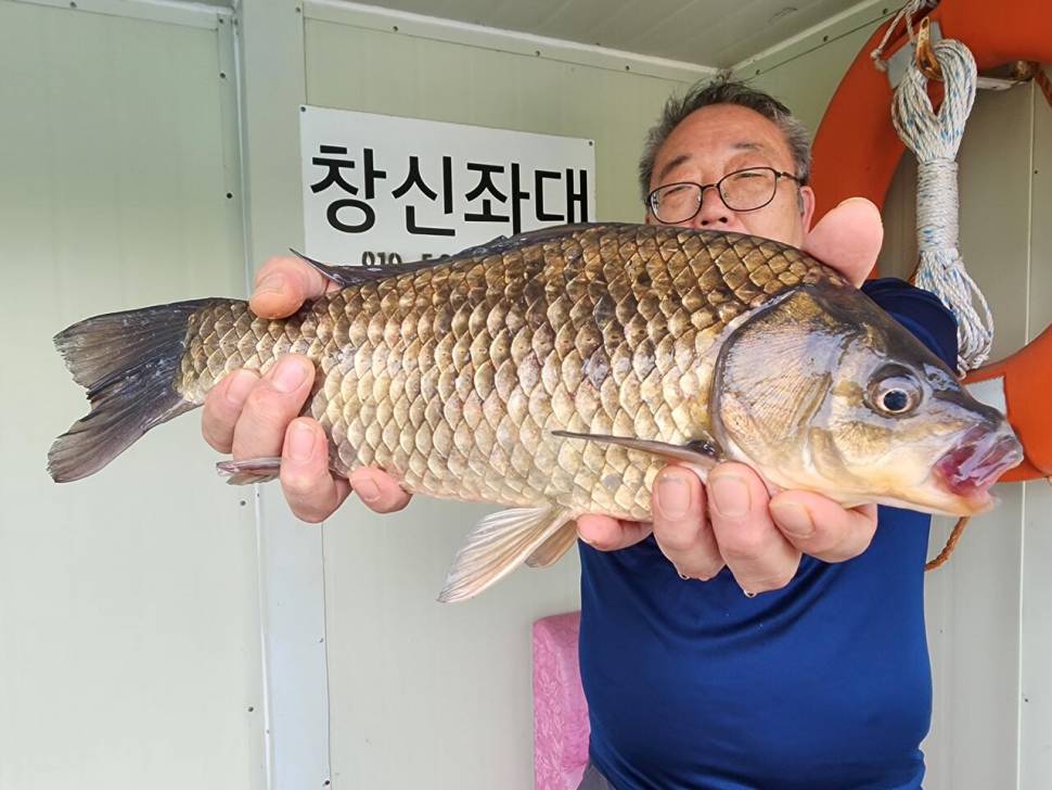 송전지 창신집 45cm 대박 조황 (유료터정보 - 유료터점주조황)
