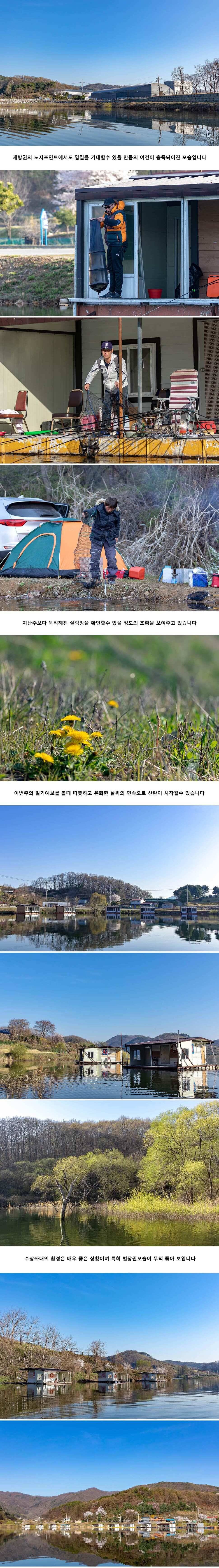 안성 두메낚시터 4월 16일 조황정보 (유료터정보 - 유료터점주조황)