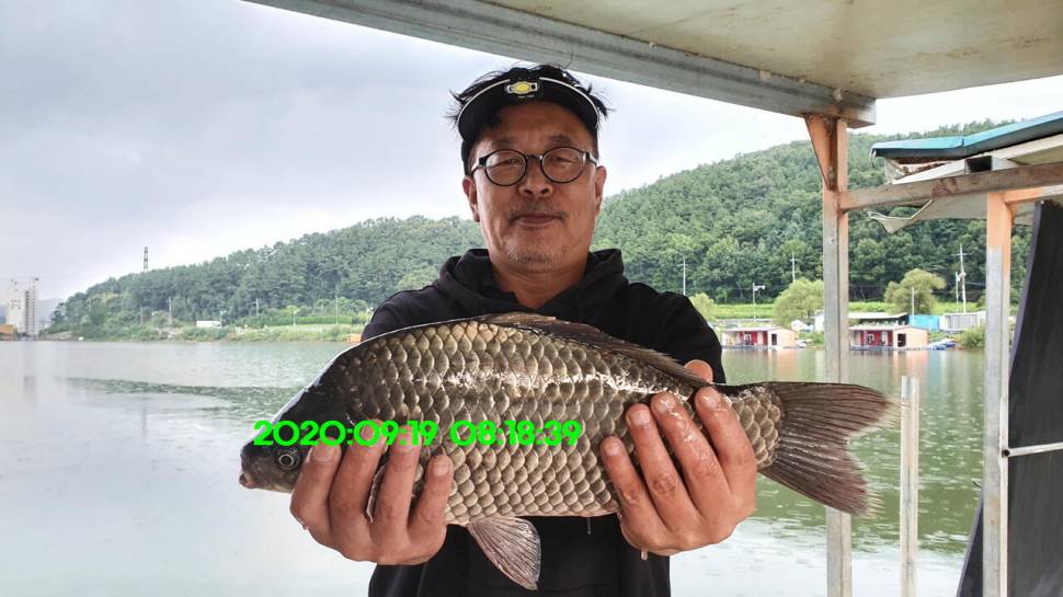 신원낚시터 9월24일 토종4243짜리가 자주 나옵니다 (유료터정보 - 유료터점주조황)