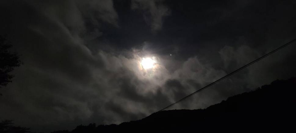 공주 고성낚시터 입니다 (유료터정보 - 유료터점주조황)