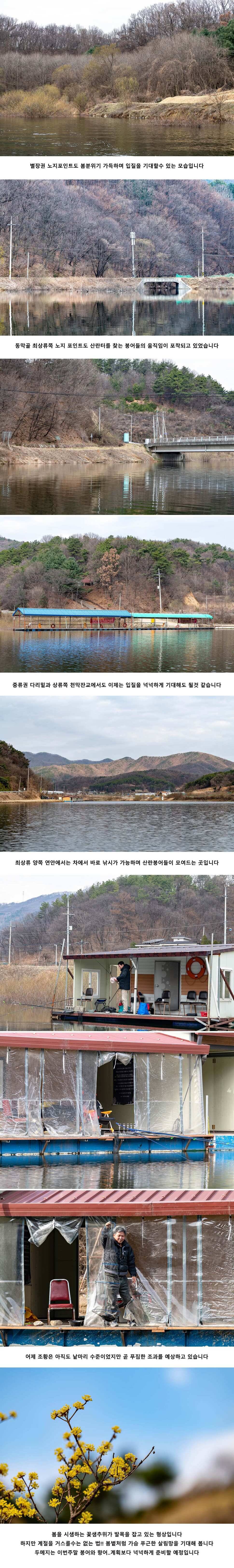 안성 두메낚시터 3월 29일 조황정보 (유료터정보 - 유료터점주조황)