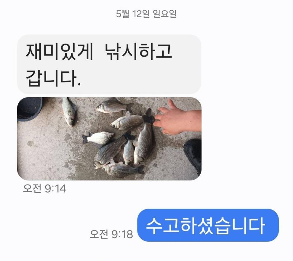 2024년 05월 셋째주 조황정보 용담낚시터사암지 4짜 5마리 (유료터정보 - 유료터점주조황)